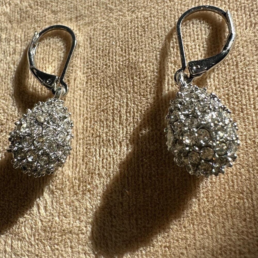 Crystal Silver Earrings